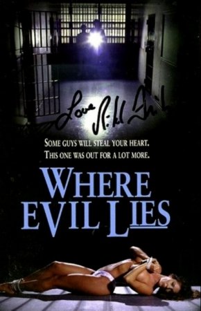 Where Evil Lies (1995)