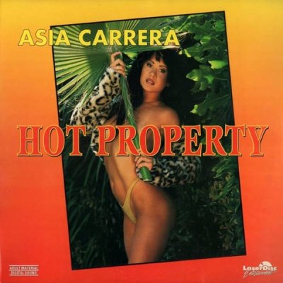 Hot Property (1995)